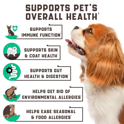 Aller-Ease Dog Chews with Omega Probiotics and ACV - CrittersPlus