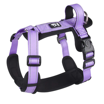 Reflective Dog Vest with Leash for Medium to Large Dogs