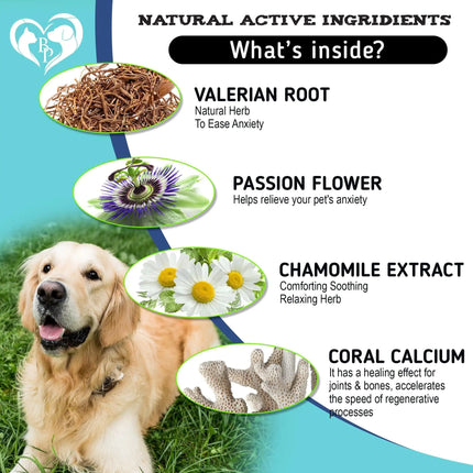 Hemp Calming Chews for Dogs Puppy Pet Separation Anxiety Relief Treats for Dog - CrittersPlus