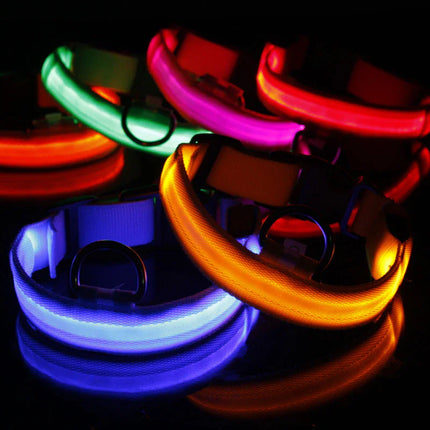 LED Adjustable Dog Collar - CrittersPlus