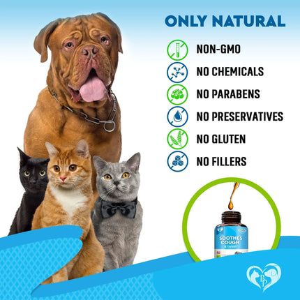 Kennel Cough Treatment Natural Infection Medicine for Dog Cats
