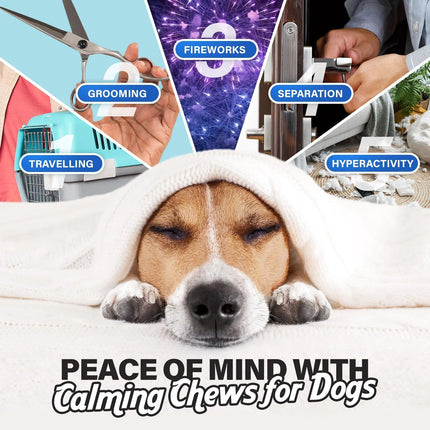 Dogs Anxiety Relief 90 Pcs Chicken Flavor
