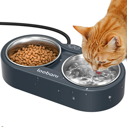 Outdoor Heated Water Bowl for Cat: