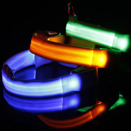 LED Adjustable Dog Collar - CrittersPlus