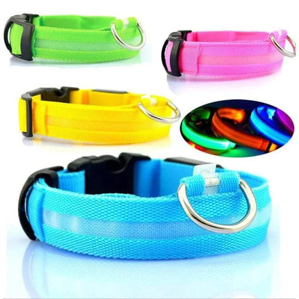 LED Adjustable Dog Collar - CrittersPlus