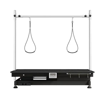 Electric Pet Grooming Table - CrittersPlus