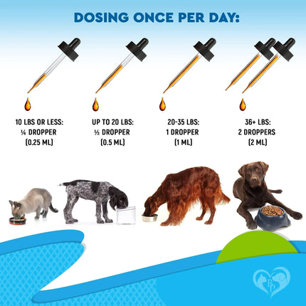 Kennel Cough Treatment Natural Infection Medicine for Dog Cats
