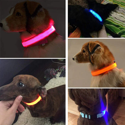 LED Adjustable Dog Collar - CrittersPlus