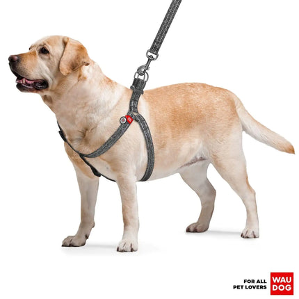 Grey Dog Harness Adjustable for Large Dogs - CrittersPlus