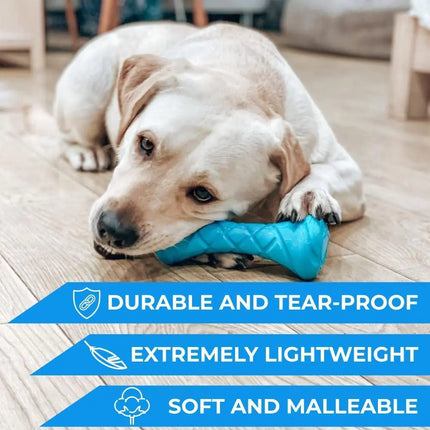 Outdoor Barbell Dog Toy - CrittersPlus