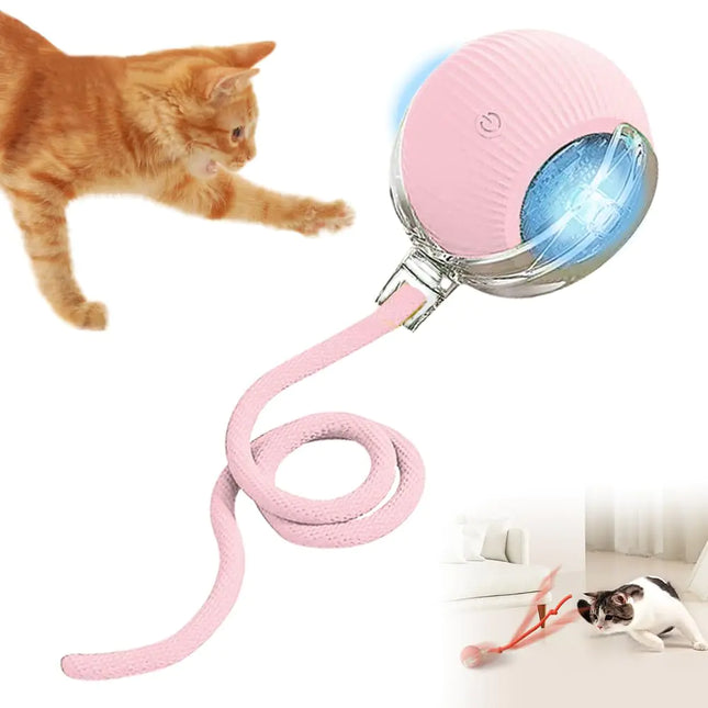 Smart Self Rolling Interactive toy Ball