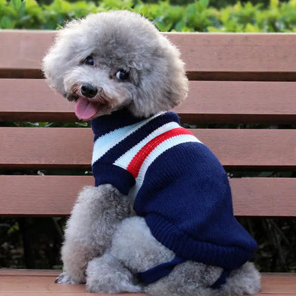 Pet Outfit