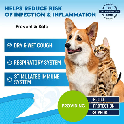 Kennel Cough Treatment Natural Infection Medicine for Dog Cats