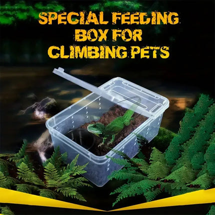 Crawling Pet Breeding Box for Reptiles and Insects