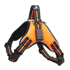Orange / M