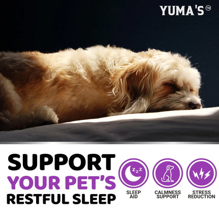 Melatonin Calming Chews for Dogs 170
