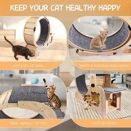 Cat Wheel 6-in-1 Cat Fitness Wheel