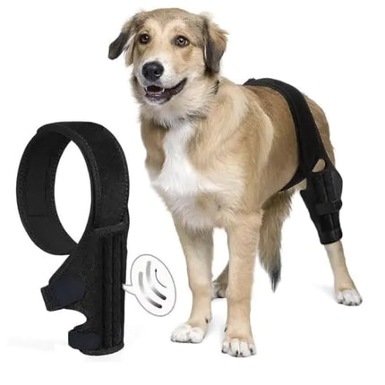 Adjustable Dog Knee Brace for ACL and Joint Support - Black (Medium)