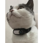 Black / Black Collar Camera