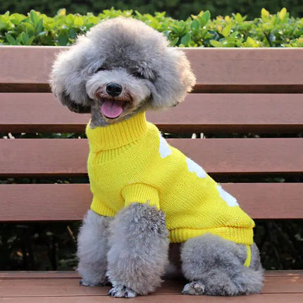 Pet Outfit