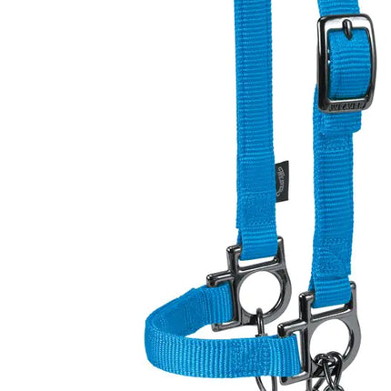 Adjustable Sheep Halter with Chain Lead Blue