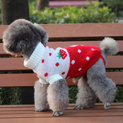 Pet Outfit