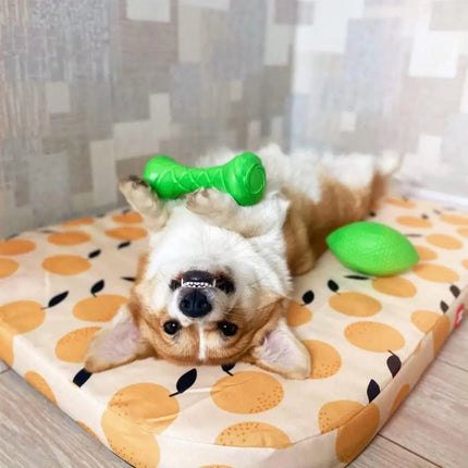 Outdoor Barbell Dog Toy - CrittersPlus