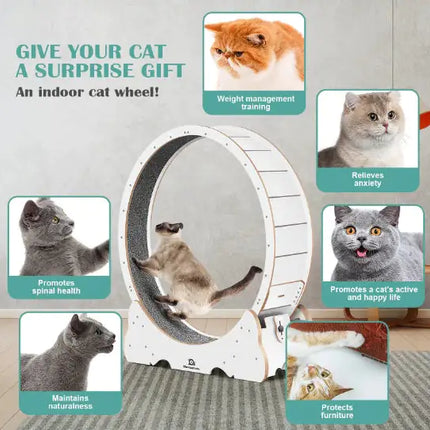Cat Exercise Treadmill With Carpeted Runway