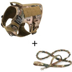 Camouflage set / L