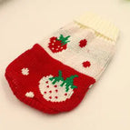 Red strawberry / 16