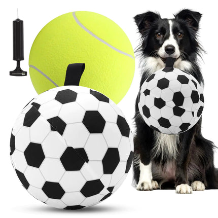 Wofypetny Herding Ball for Dogs \ - CrittersPlus