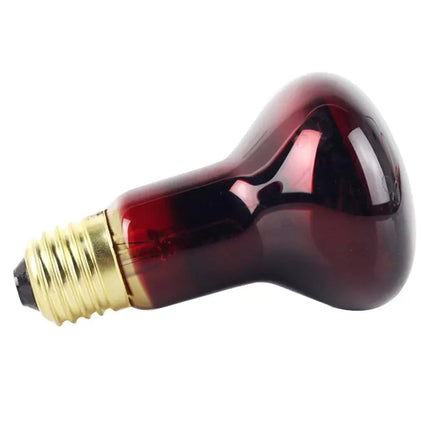Pet Heating Lamp Ceramic Emitter for Reptiles and Brooders
