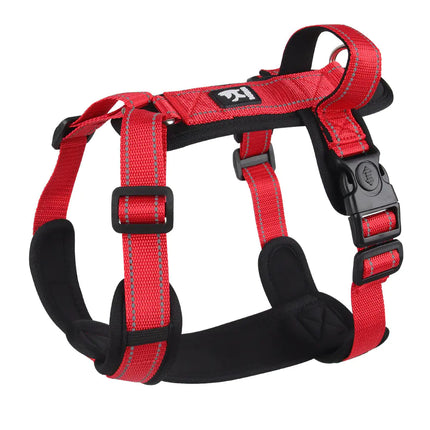 Reflective Dog Vest with Leash for Medium to Large Dogs