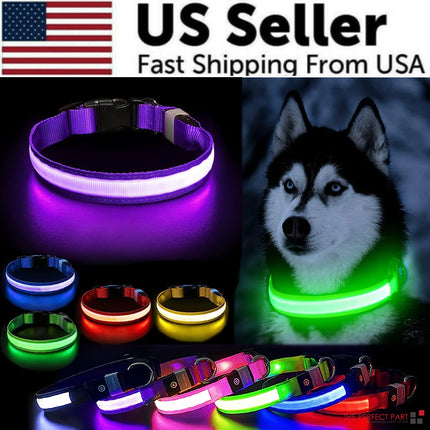 LED Adjustable Dog Collar - CrittersPlus