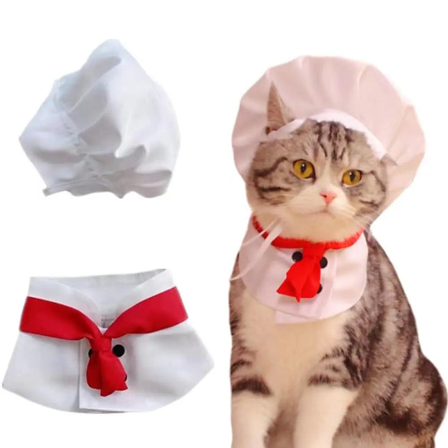 Pet Costume Set - CrittersPlus