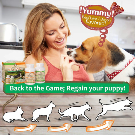 Healthy Hip and Joint for Dogs - CrittersPlus