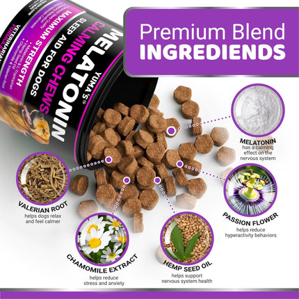 Melatonin Calming Chews for Dogs 170