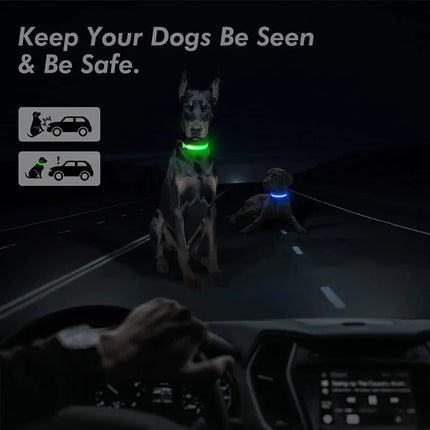 LED Adjustable Dog Collar - CrittersPlus