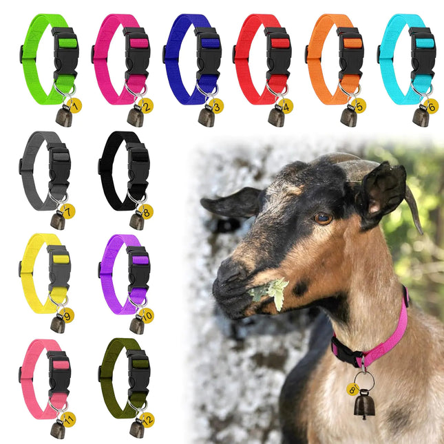 GINDOOR 12 Pack Goat Collars with Bells and Number Tag， - CrittersPlus