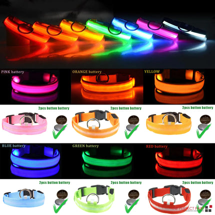 LED Adjustable Dog Collar - CrittersPlus