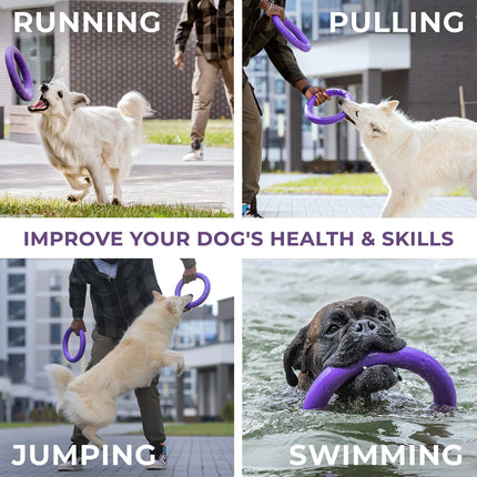 Puller Outdoor Dog 2 Rings - CrittersPlus