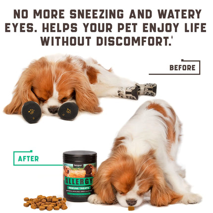 Aller-Ease Dog Chews with Omega Probiotics and ACV - CrittersPlus