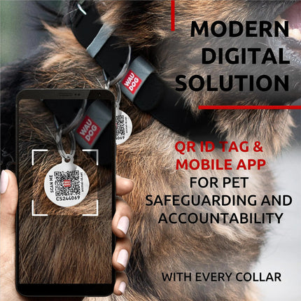 Black Long Lasting Leather Dog Collar Adjustable for Medium Dogs - CrittersPlus
