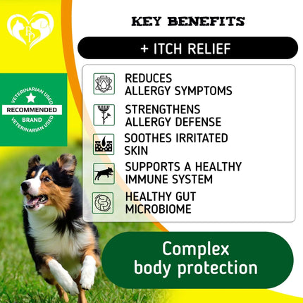 Omega3 Soothing Dog Allergy Chews - CrittersPlus