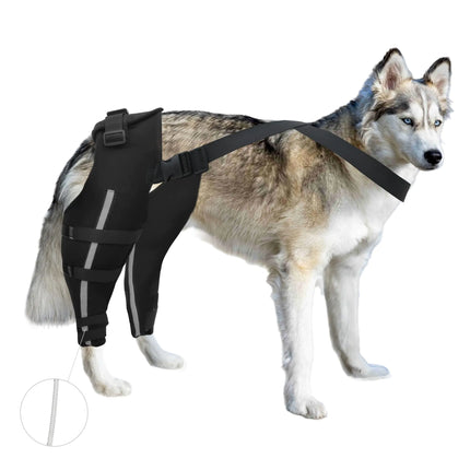 Canine Comfort ACL Knee Brace