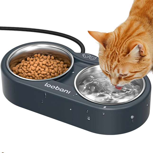 Outdoor Heated Water Bowl for Cat: