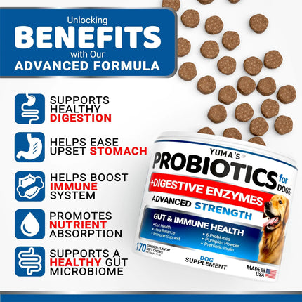 Dog Probiotics Chews - CrittersPlus