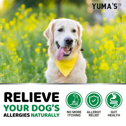 Dog Itching Skin Relief Treatment Pills 170 Treats