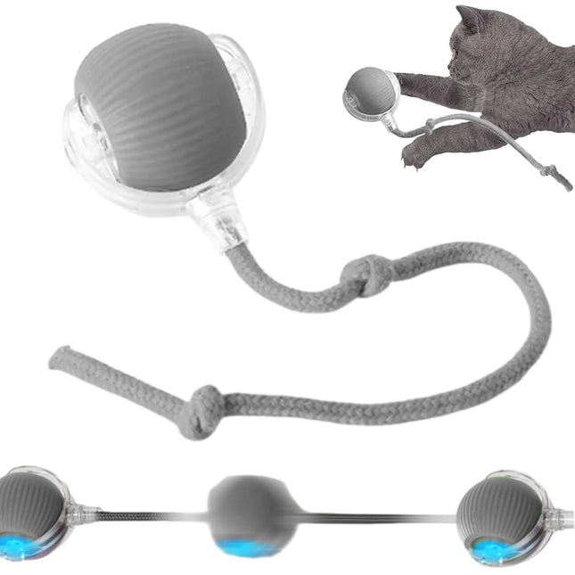 360° Smart Interactive Pet Toy Ball