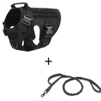 Black set / M